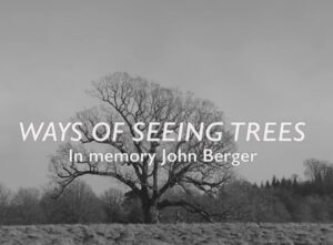 ways of seeing trees